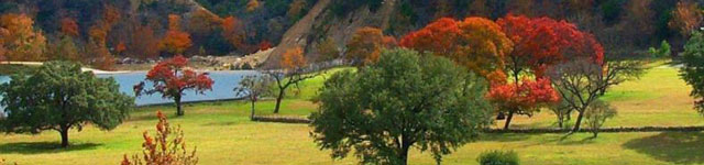 CoalsonRealEstate_Testimonials
