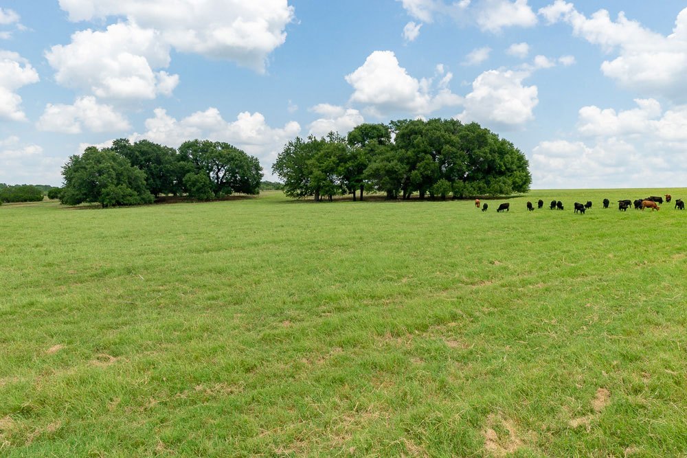 151-5ac76