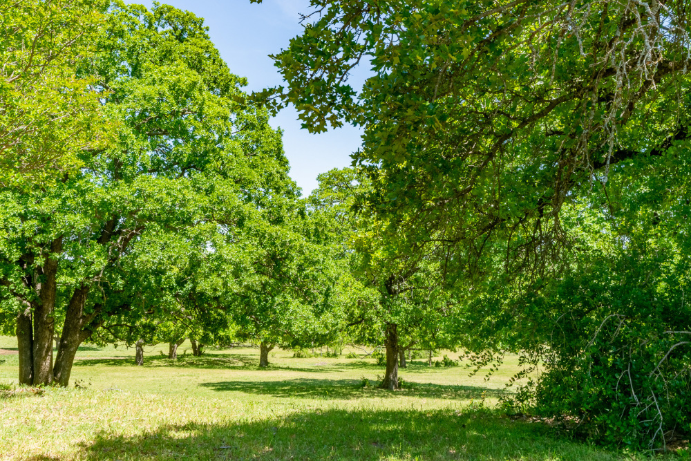 DSC05571-HDR