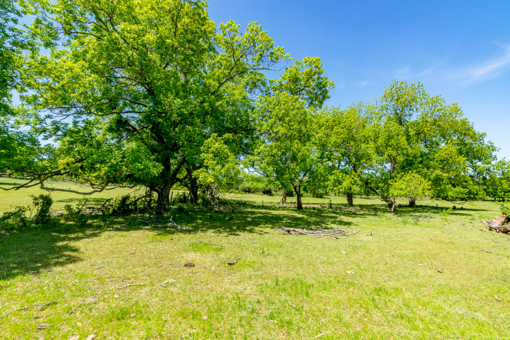 DSC05622-HDR