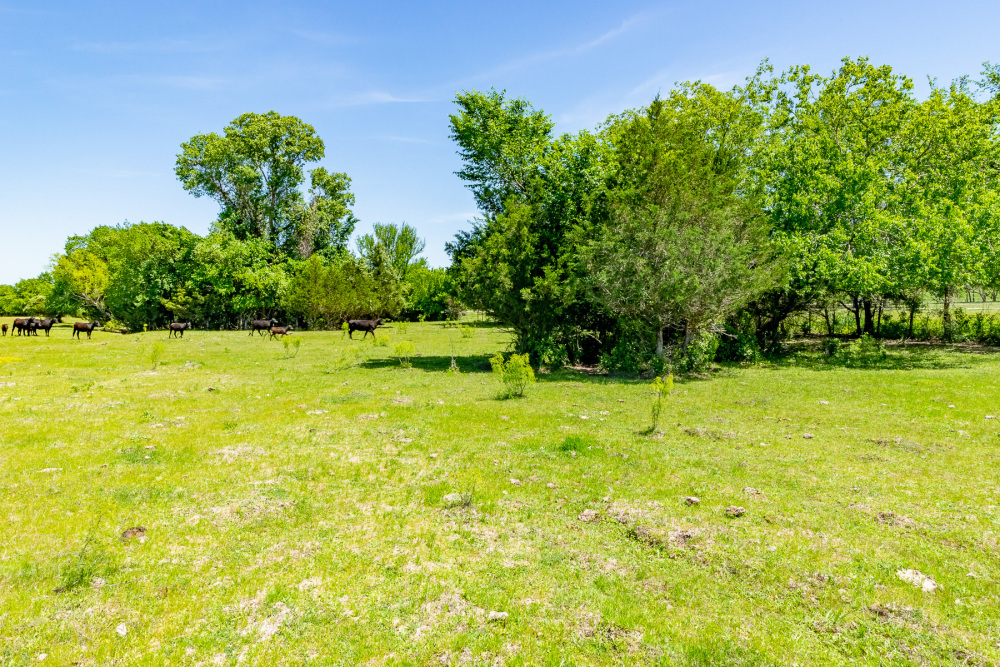 DSC05634-HDR