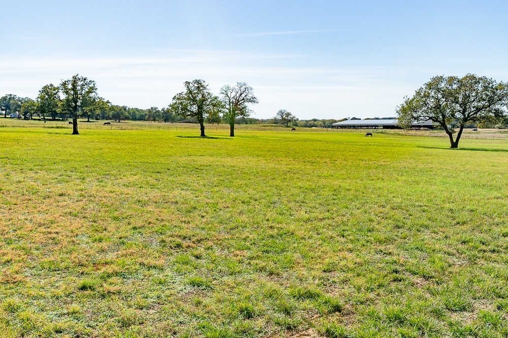 Photo Gallery 22.5 Acre Horse & Cattle Property 1215 Tuggle Rd, Lipan