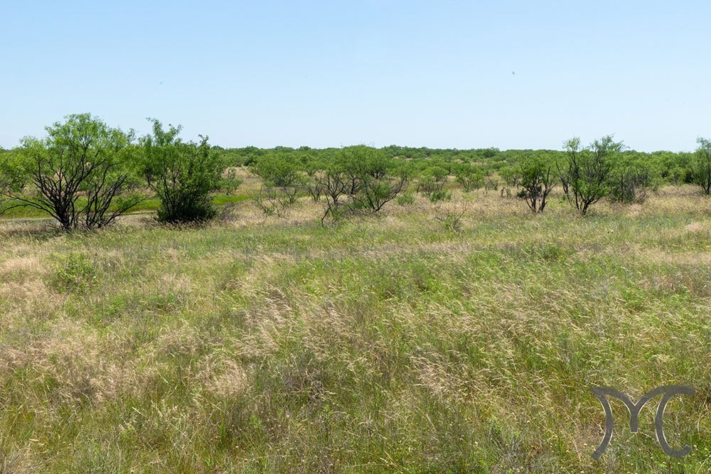 285-81ac_12