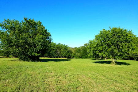 20 acres, S/W of Springtown, Texas – SOLD