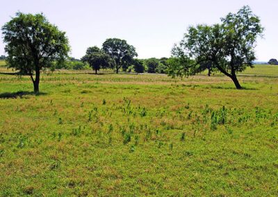 40ac10