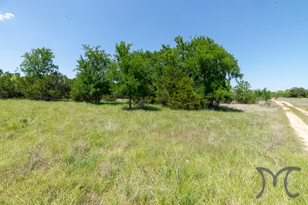 Texas Cattle Ranches For Sale - Coalson Real Estate