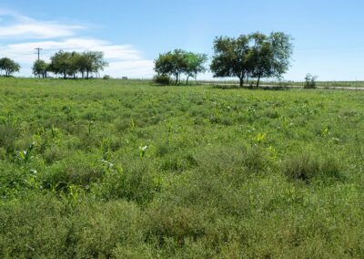 107-6ac22