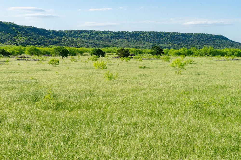 711.2 Acres for Cattle & Hunting, East of Possum Kingdom Lake, Palo Pinto Co., Texas – SOLD