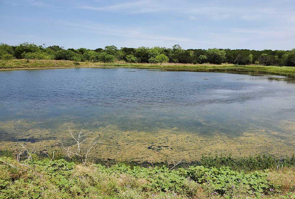 818.1 Acres, Graford, Palo Pinto County, Texas – SOLD