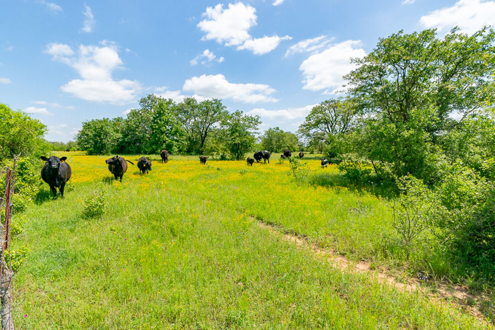 220 Acre Ranch @ 501 Slemmons Road, Mineral Wells, Texas 76067 – SOLD