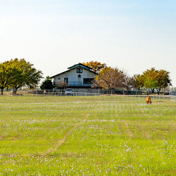 Securing the Best Land for a Ranch in North Texas: Insights from Coalson Real Estate