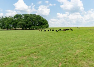 151-5ac02