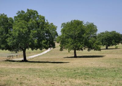 79-78ac_17