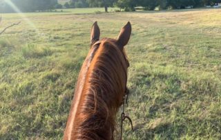 luxury horse ranch for sale in north texas
