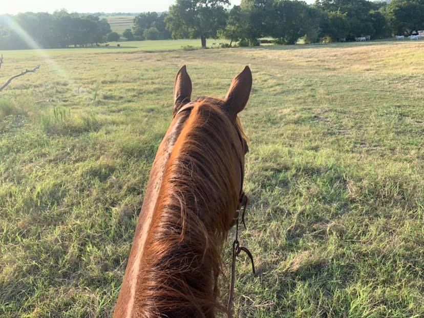 North Texas Horse Ranch Lifestyle