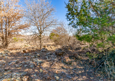 DSC05017-HDR