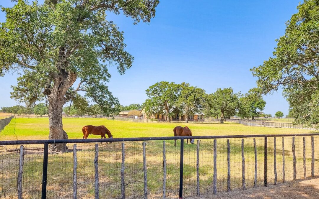 Beautiful 19.92 Acre Horse Ranch 650 White Bull Lane, Millsap, Parker County, Texas