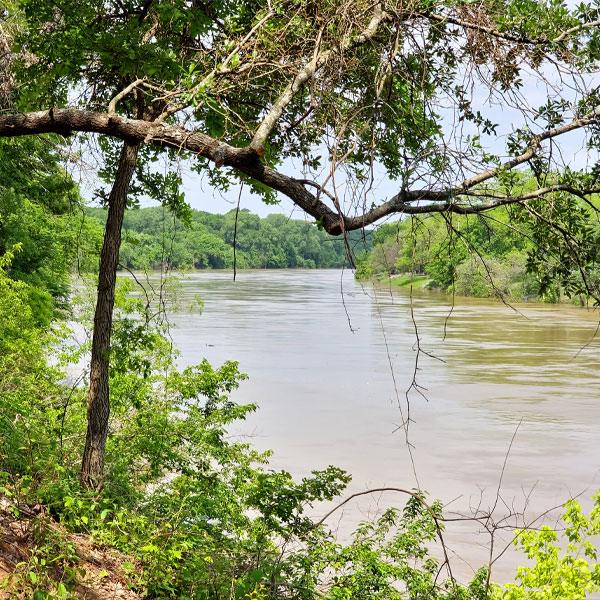 North Texas Real Estate