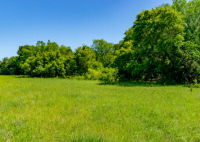 DSC05310-HDR