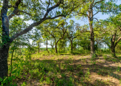 DSC05313-HDR