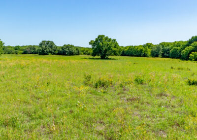 DSC05315-HDR