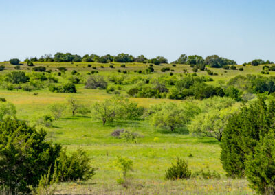 DSC05317-HDR