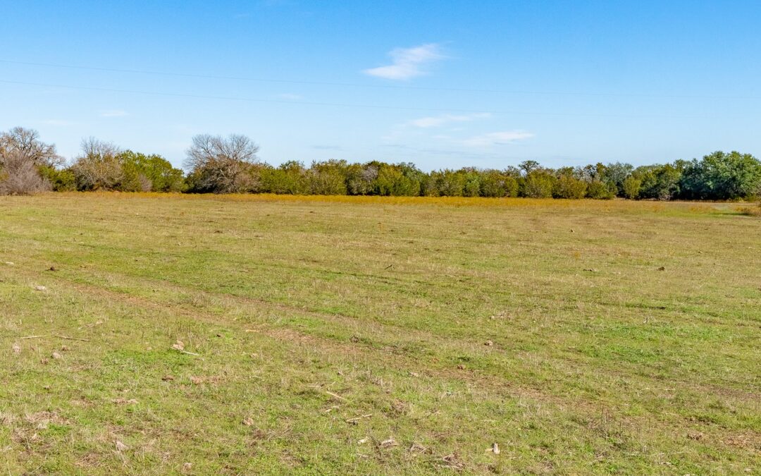 50+/- Acres, N/E of Weatherford, Parker Co., Texas