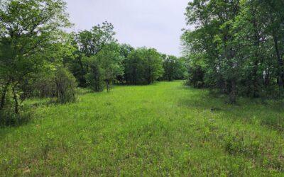 333.8-Acre Hunting & Recreational Ranch in Wise County