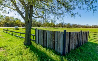13.4 Acres with Cottage Near Mineral Wells
