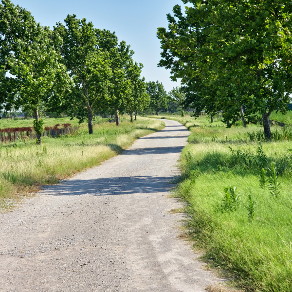 North Texas Ranch Sold