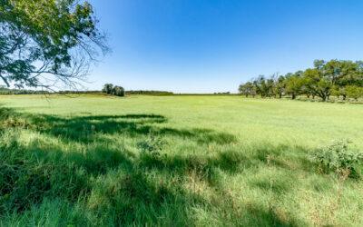 41.45 Acres of Productive Land East of Millsap
