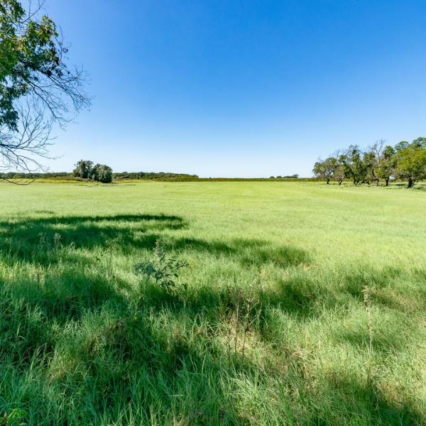 North Texas Real Estate