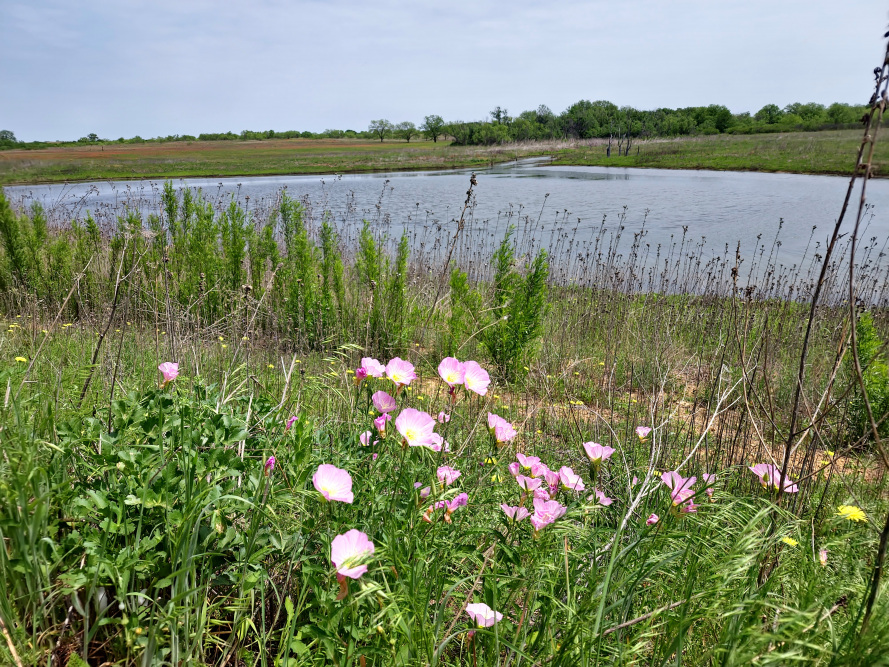 Large ranches for sale in Texas