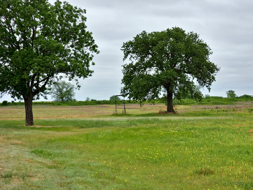 Large ranches for sale in Texas