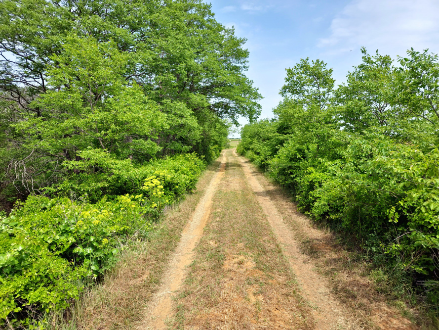 Large ranches for sale in Texas