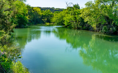 Texas Cattle Ranches