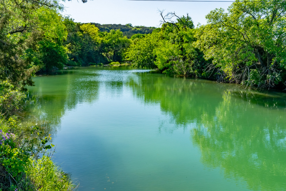 Texas Cattle Ranches