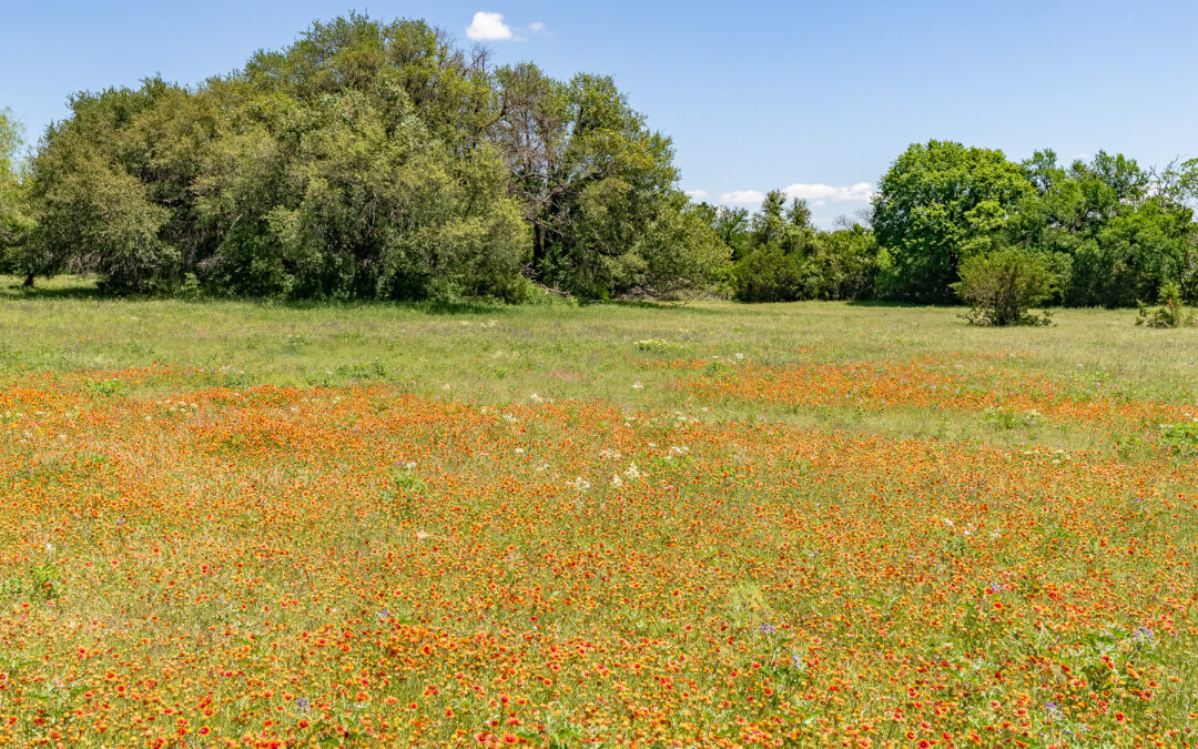 125.76 Beautiful Acres South of Weatherford, Parker Co., Texas