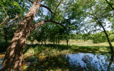 Luxury Ranches for Sale in Texas – Coalson Real Estate