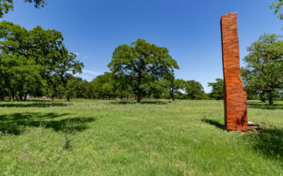 Large Ranches for Sale in Texas