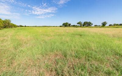 138 Acre Cattle property Perrin, Parker County, Texas