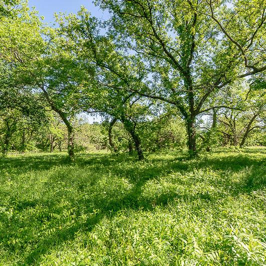 North Texas Real Estate