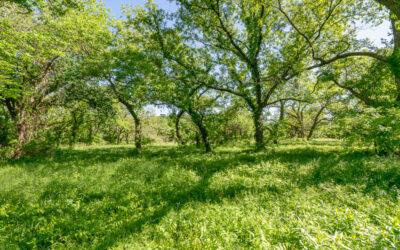 42 Acres Between Weatherford & Mineral Wells