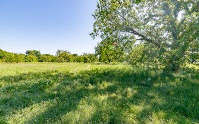 Large Ranches for Sale in Texas