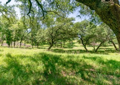 8001 Brock Highway ranch property near Brock, Texas