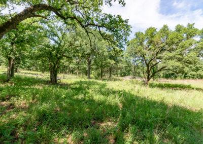 8001 Brock Highway ranch property near Brock, Texas