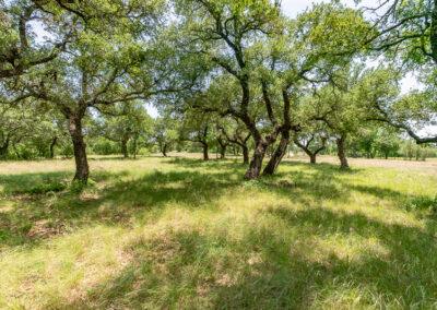 8001 Brock Highway ranch property near Brock, Texas