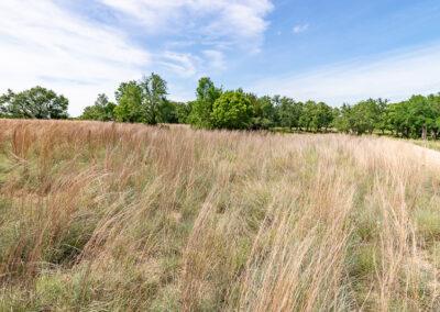 8001 Brock Highway ranch property near Brock, Texas