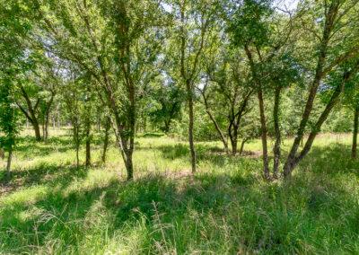 8001 Brock Highway ranch property near Brock, Texas