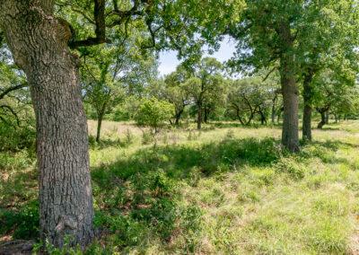 8001 Brock Highway ranch property near Brock, Texas